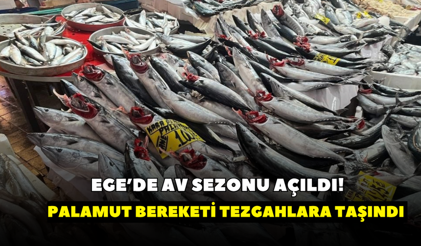 Ege’de av sezonu açıldı! Palamut bereketi tezgahlara taşındı