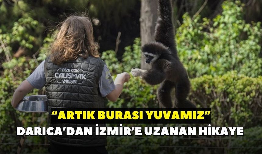 Darıca’dan İzmir’e uzanan hikaye: “Artık burası yuvamız”