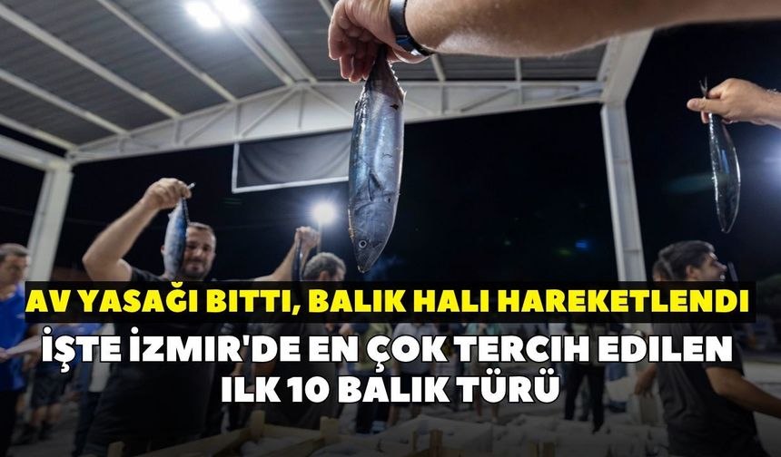 Av yasağı bitti, balık hali hareketlendi: İşte İzmir'de en çok tercih edilen ilk 10 balık türü