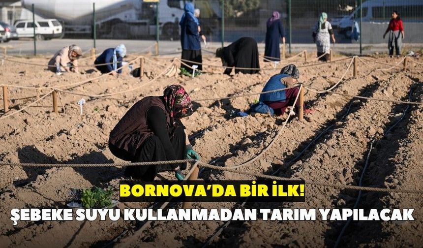 Bornova’da bir ilk! Şebeke suyu kullanmadan tarım yapılacak