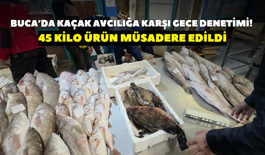 Buca Balık Hali’nde kaçak avcılığa karşı gece denetimi! 45 kilo ürün müsadere edildi
