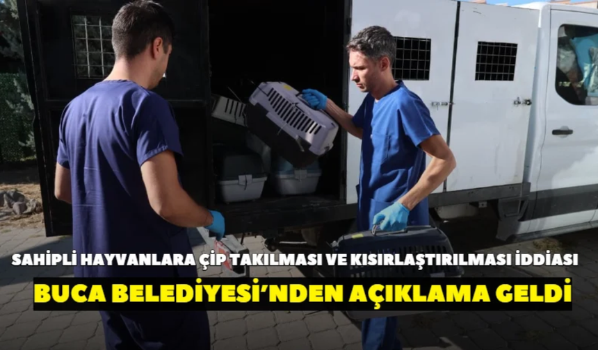Sahipli hayvanlara çip takıldığı ve kısırlaştırıldığı iddia edilmişti! Buca Belediyesi’nden açıklama geldi