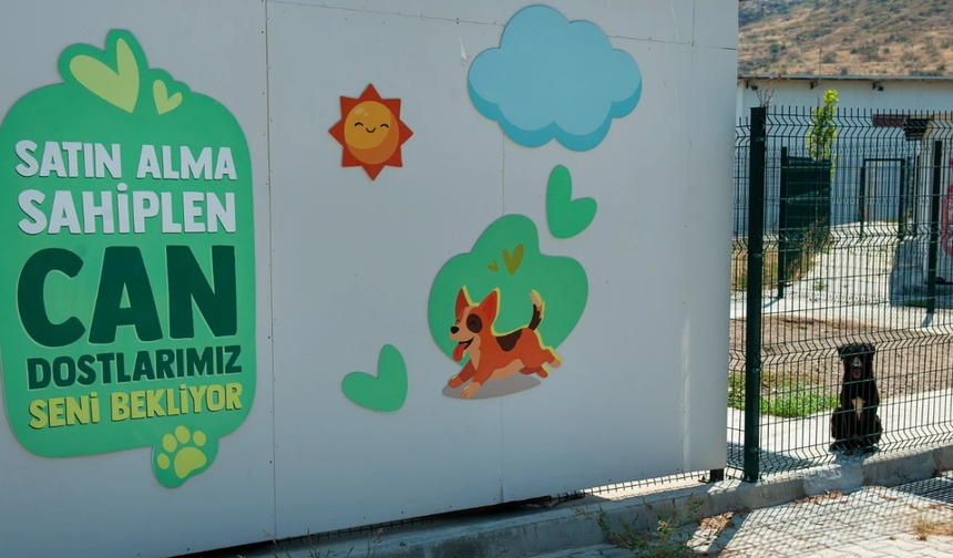 Karşıyaka’da “Bir Nota, Bir Yuva” etkinliği! Can dostlar yeni yuvalarını arıyor