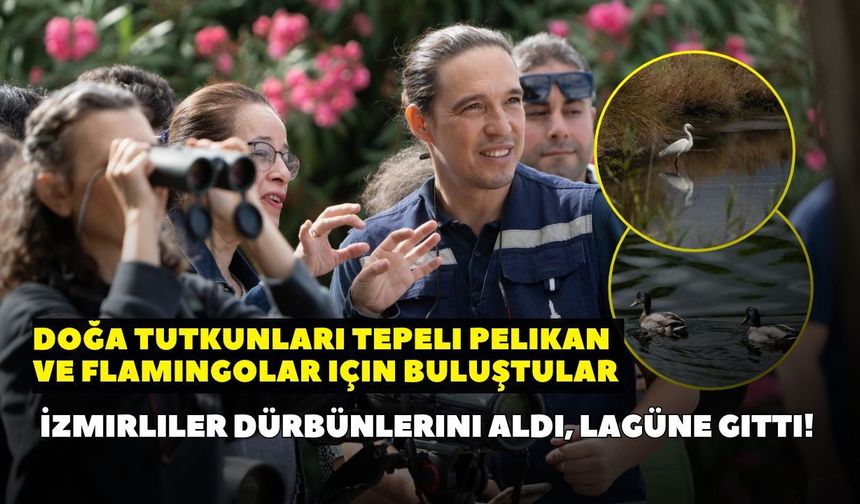 Şehrin göbeğinde kuş gözlemine çıktılar! Birçok İzmirlinin bilmediği doğal güzellik: 121 kuş türü gözlemlenebiliyor