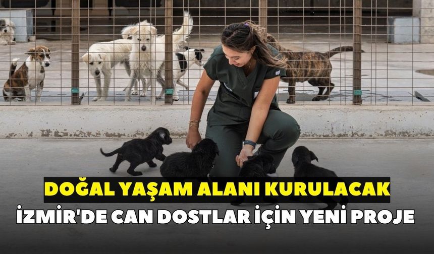 İzmir'de can dostlar için yeni proje: Doğal yaşam alanı kurulacak