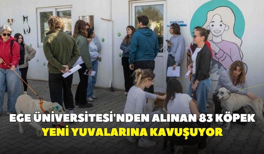 Ege Üniversitesi'nden alınan 83 köpek yeni yuvalarına kavuşuyor