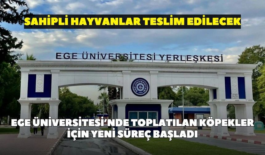 Ege Üniversitesi’nde toplatılan köpekler için yeni süreç başladı: Sahipli hayvanlar teslim edilecek