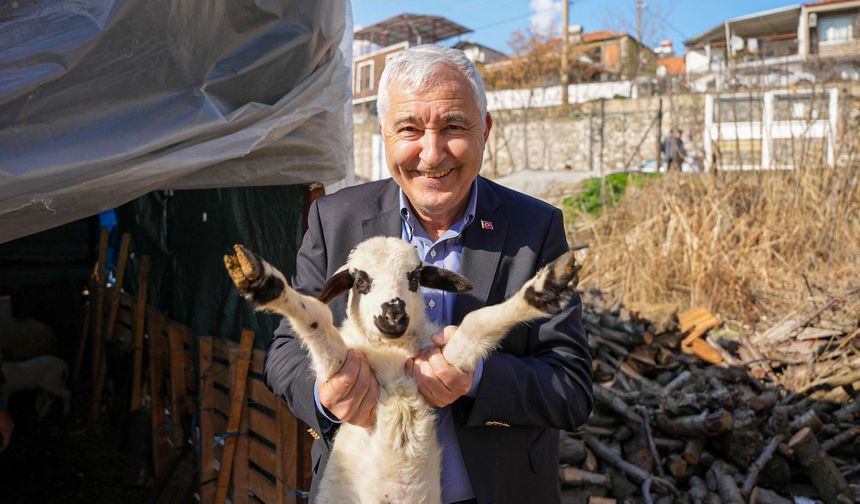 Kemalpaşa Belediyesi’nden çiftçilere yeni destek: Başvurular sürüyor