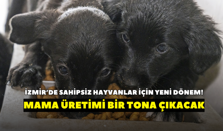 İzmir’de sahipsiz hayvanlar için yeni dönem! Mama üretimi 1 tona çıkacak
