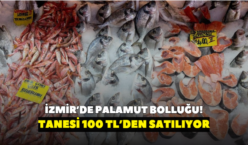İzmir’de palamut bolluğu! Tanesi 100 TL’den satılıyor