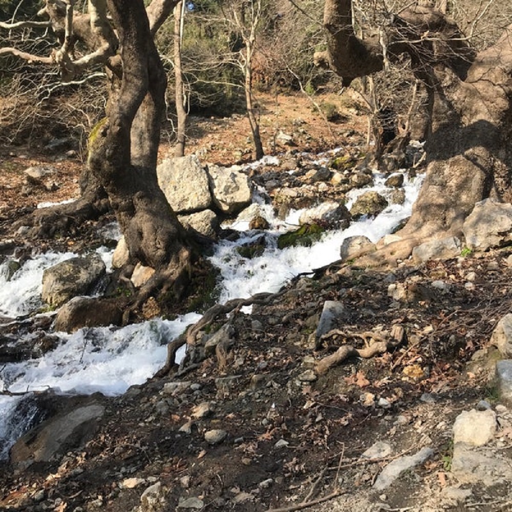 Kaynaklar Köyü Gürlek Şelalesi Çınar Altı Kamp Alanı Tırmanış (1)