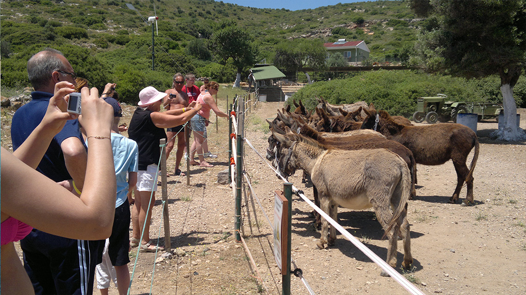 Eşek Adası1