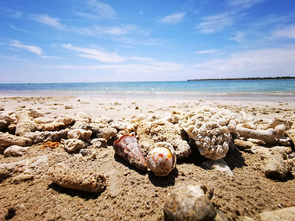 Izmir Halk Plajları (1)