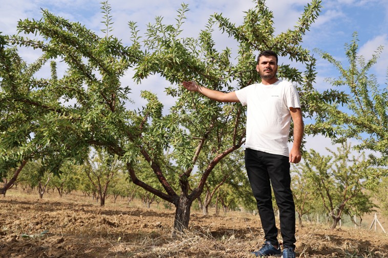 11 Yillik Araziyi Hasat Etti 5 Tonluk Verim Aldi1