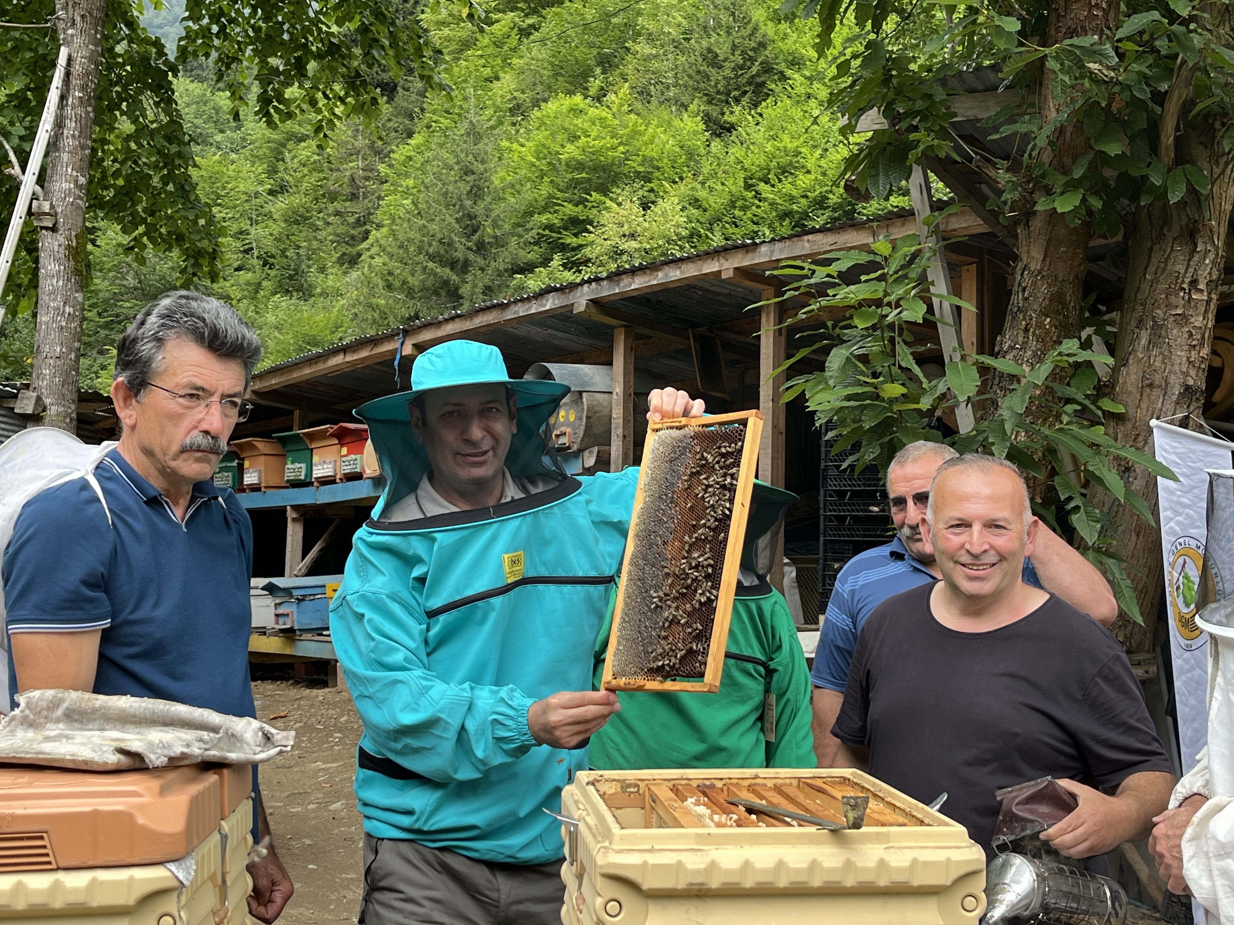 Artvin Kokolet Vadisinde Ballarin Hasadi Basladi1