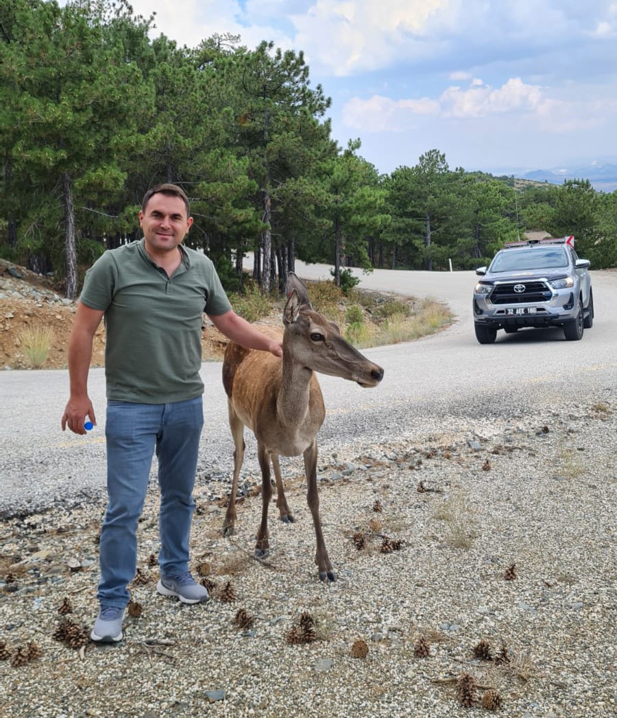 Salda Golu Cevresindekizil Geyik Projesi1