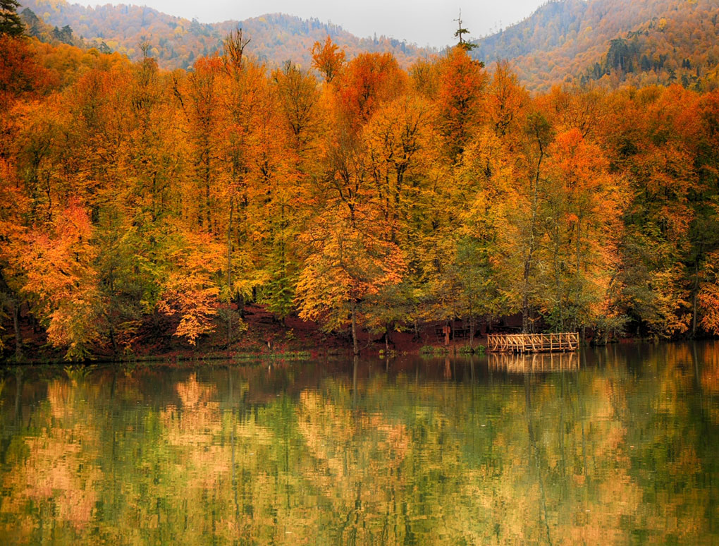 1. Yedigöller Milli Parkı, Bolu