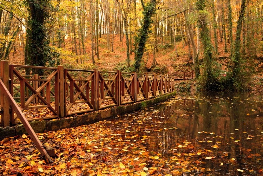 Belgrad Ormanı (2)