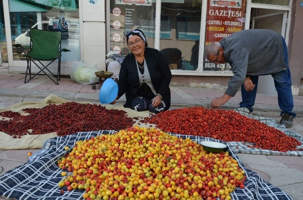 Alıç Ve Kuşburnu2