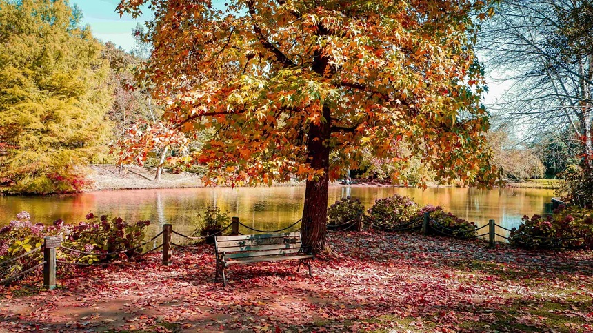 Atatürk Arboretumu 2