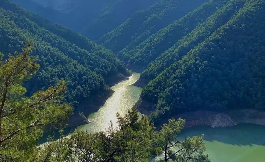 Balçova Terapi Ormanı (1)