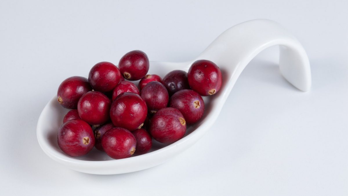 Cranberry2