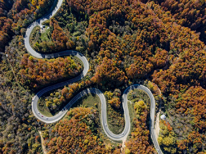 Domaniç Ormanları Virajlı Yollar