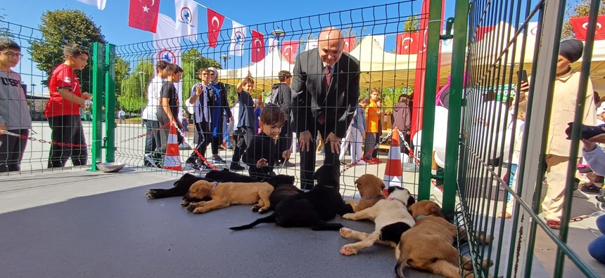 Duzcede Sahipsiz Yavru Hayvanlar Icin Sahiplendirme Etkinligi1