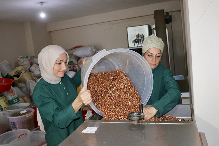 Findik Isleme Atolyesiyle Kadin Girisimci Basariya Ulasiyor1