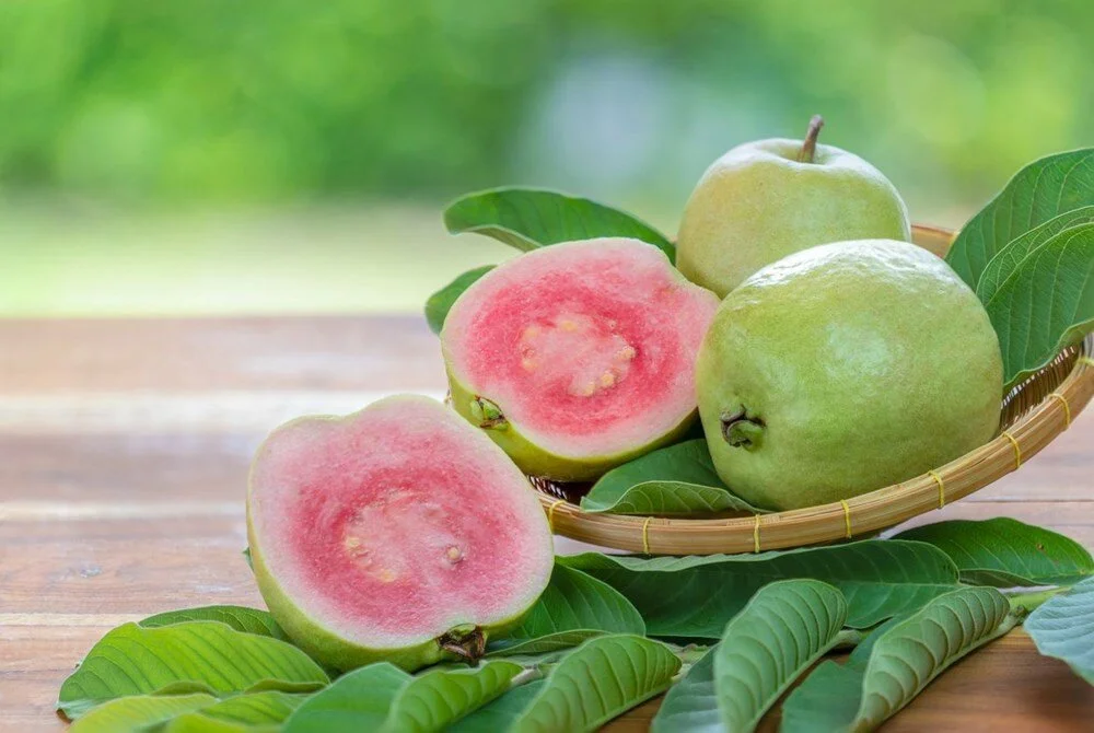 Guava