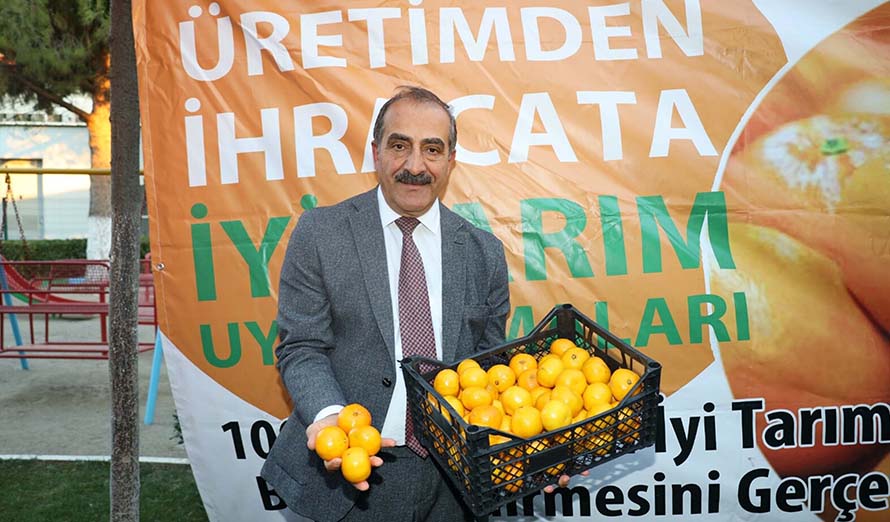 Hayrettin Ucak Mandalina