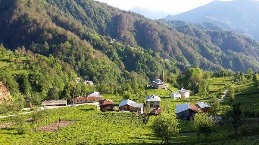 Rize Çayeli