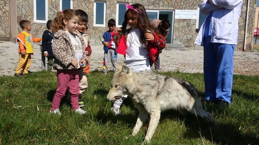 Yuzuncu Yil Universitesinden 4 Ekim Dunya Hayvanlari Koruma Gunu Etkinligi1