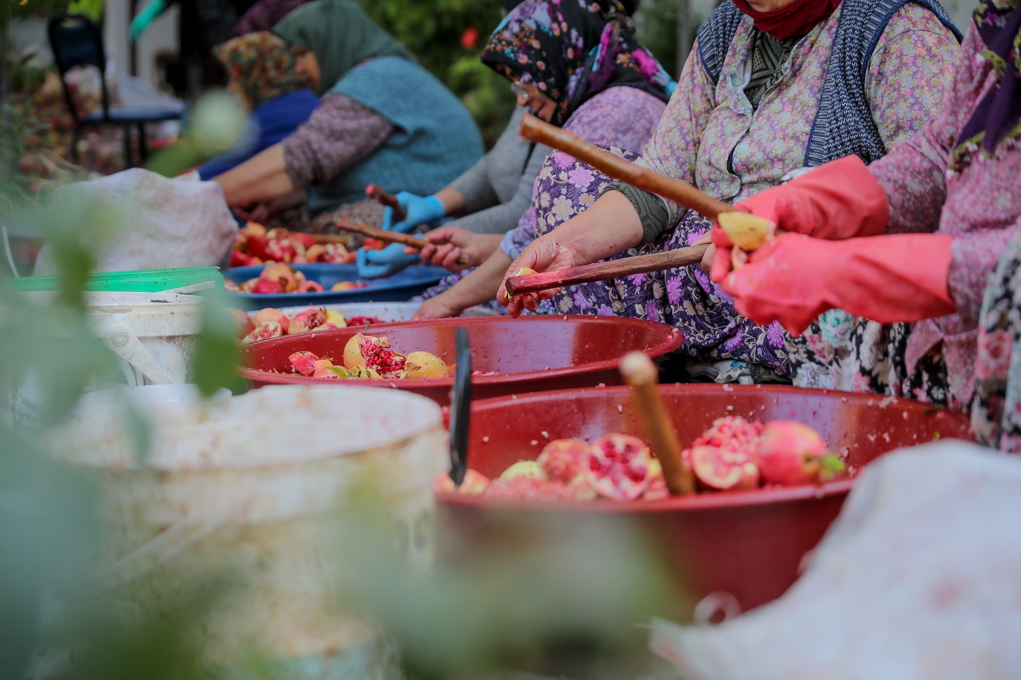 Aliağa’nın Doğal Çıtak Nar Ekşisi’nin Sofralara Uzanan Öyküsü (1)