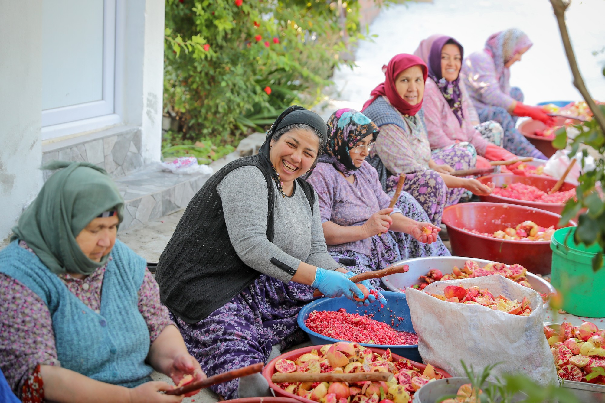 Aliağa’nın Doğal Çıtak Nar Ekşisi’nin Sofralara Uzanan Öyküsü (3)