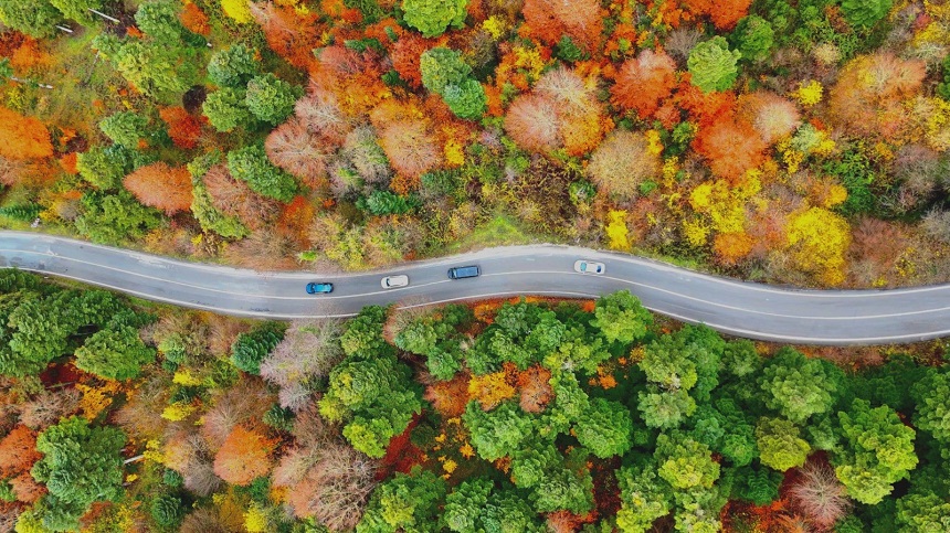 Bolu Gölcük Parkı (2)