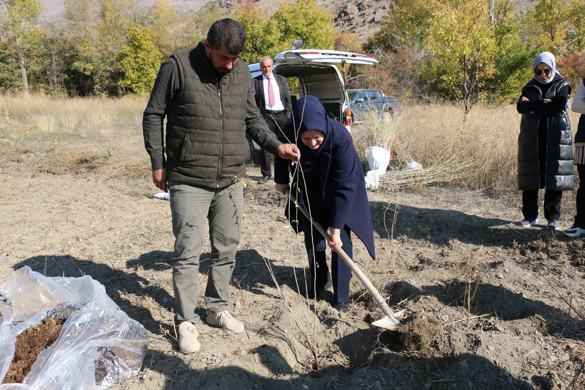 Erzincan Goji Berry2