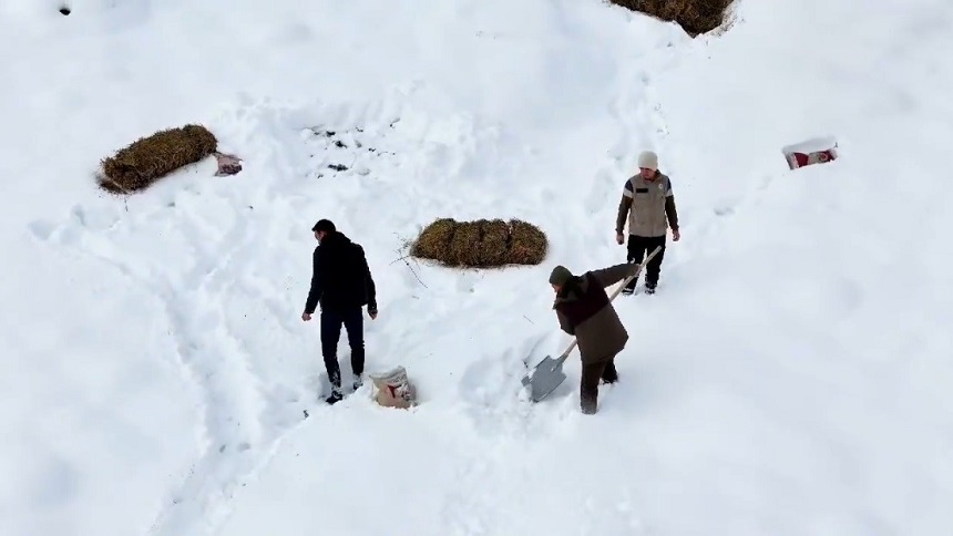 Erzincan Yabani Hayvanlara Yem (2)