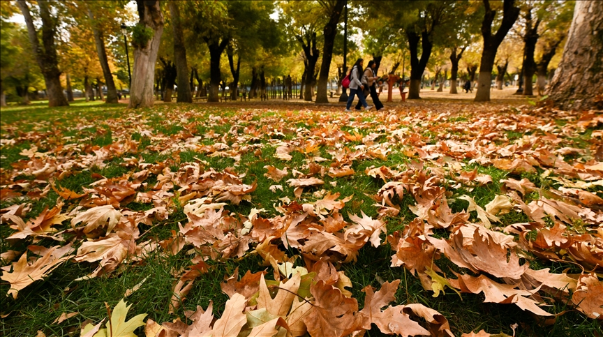 Gaziantep Sonbahar3