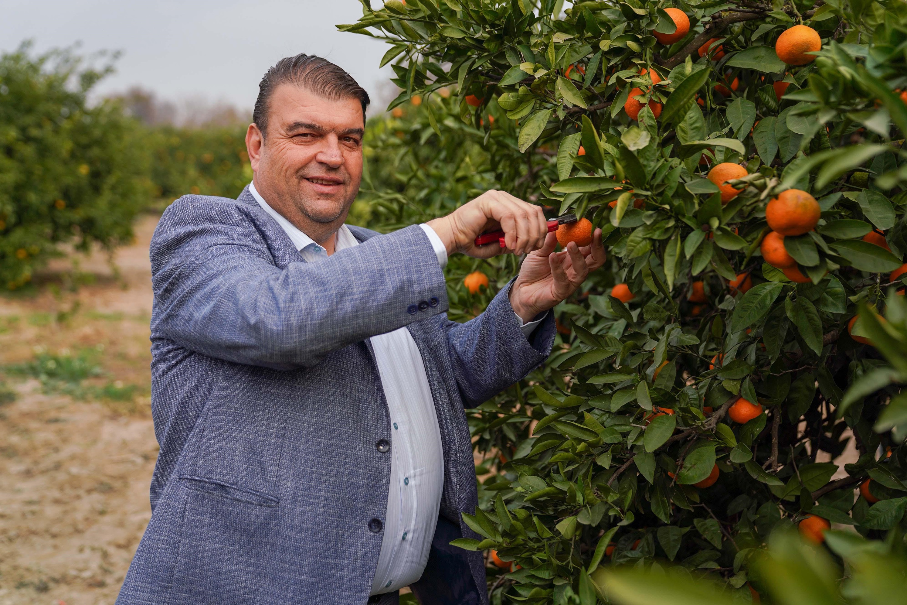 İsmail Yetişkin Mandalina Festivali