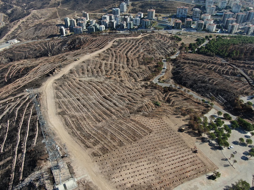 Izmir Orman Yangını (2)