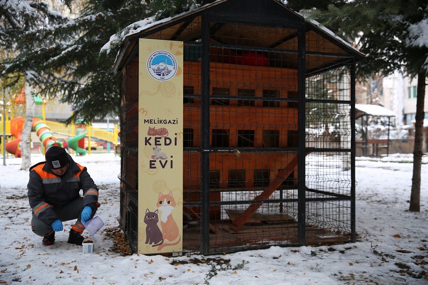 Kar Yağışı Patili Dostlar (2)