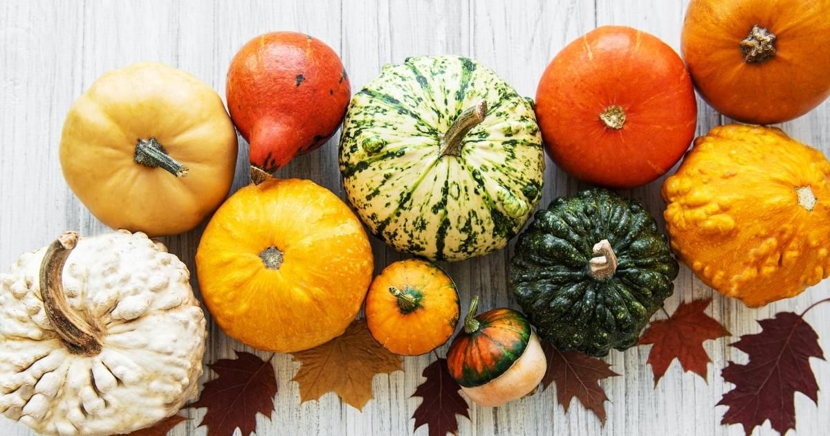 Pg Types Of Pumpkins 1637146779