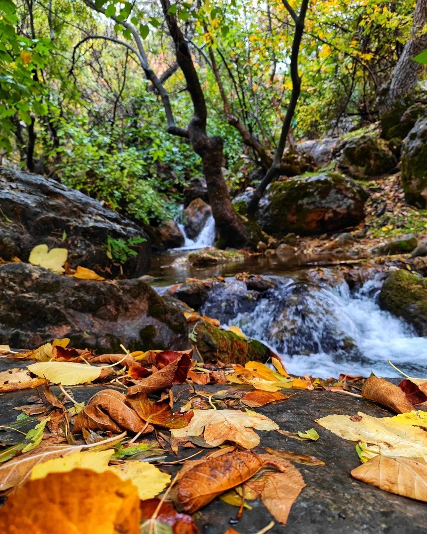 Siirt Zarova Çayı (1)