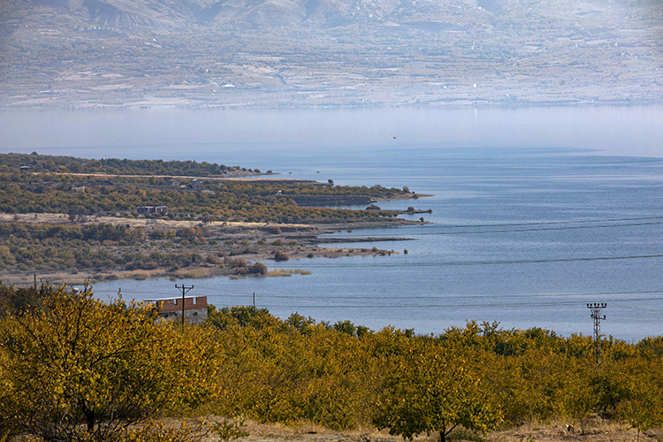 Sonbahar Kayısı Bahçeleri3