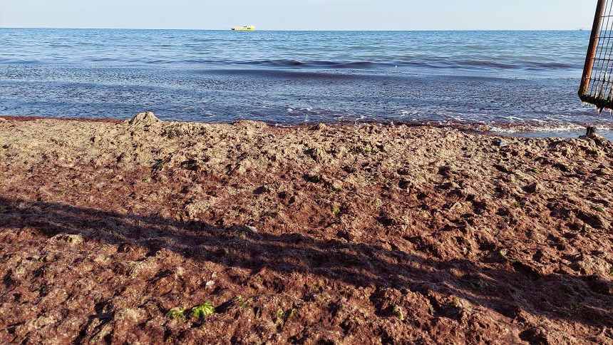 Tekirdağ Kıyıları3