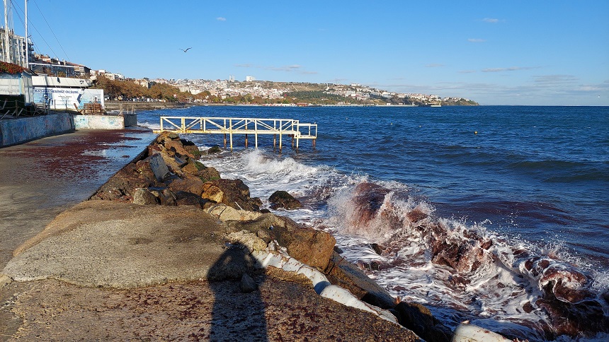 Tekirdağ Kızıl Yosunlar (3)