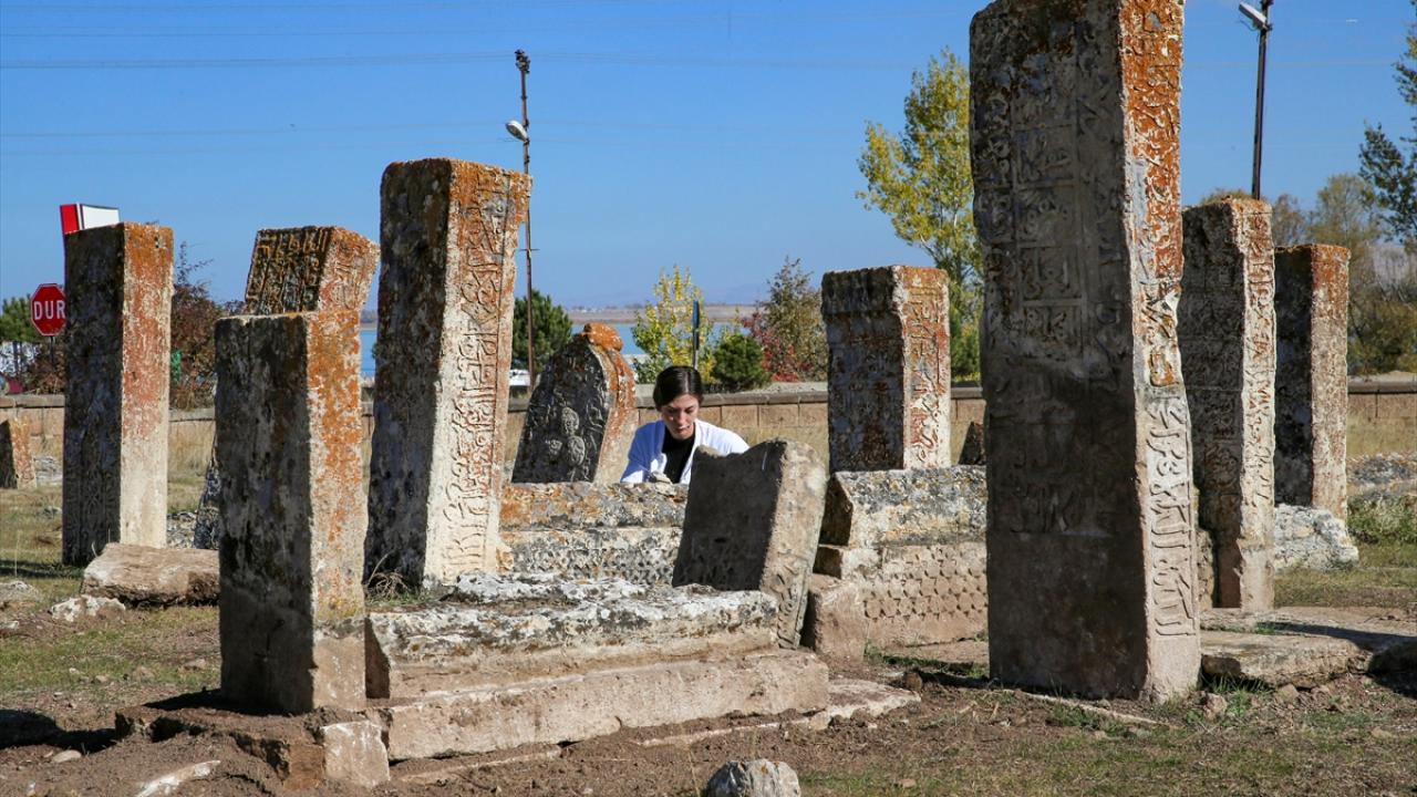 Van Selçuklu Mezarlığı (6)