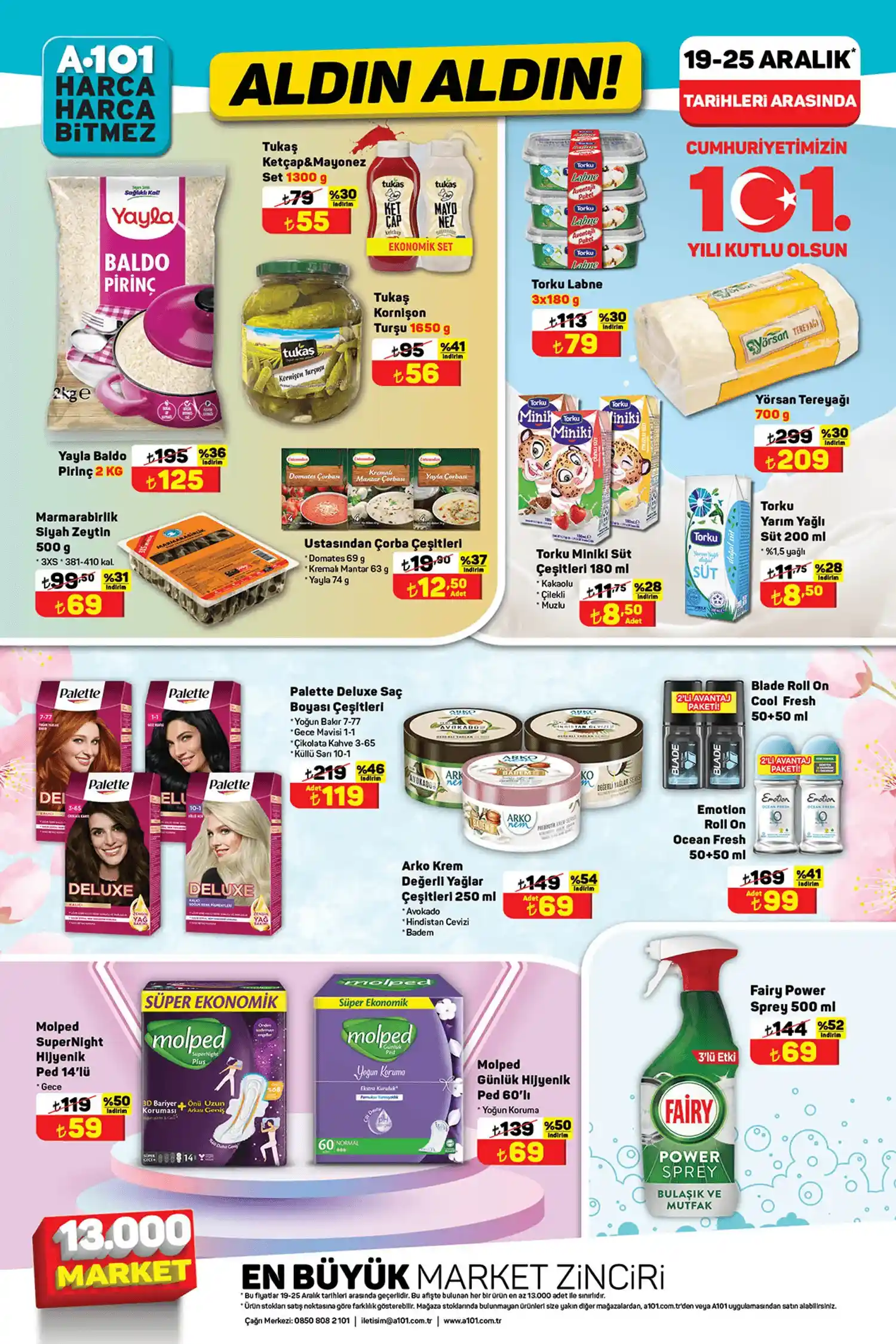 A101 19 Aralik 2024 Katalog 8