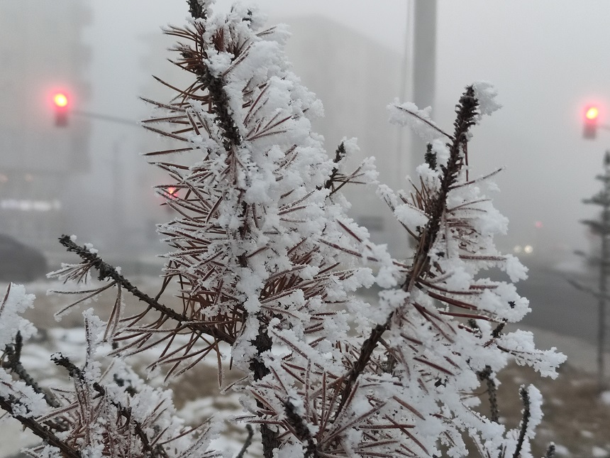 Ardahan Soğuk Hava (2)